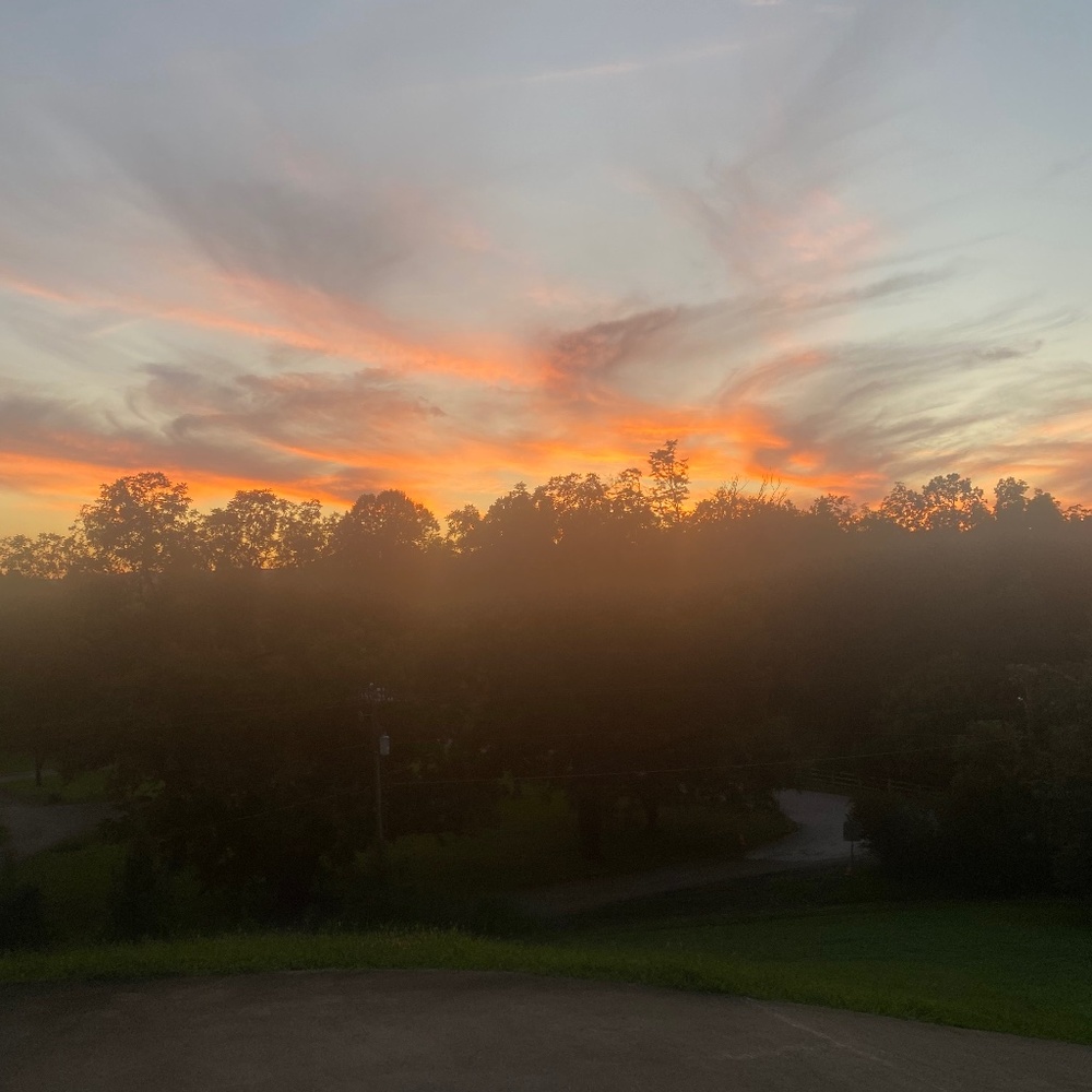 Meet your Posher, Roelle